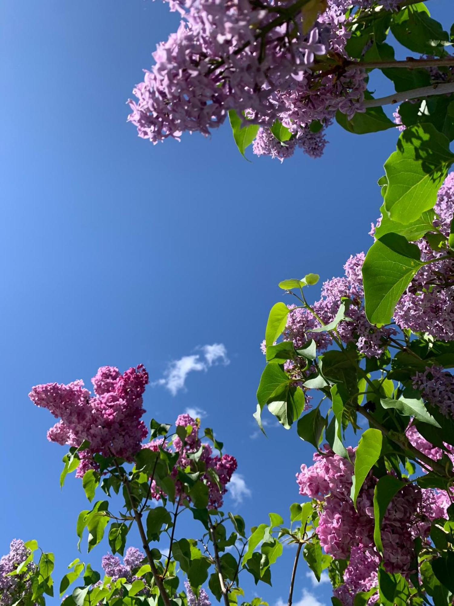 Karlshamn 1 Sankt Anna Soederkoeping Villa Dış mekan fotoğraf