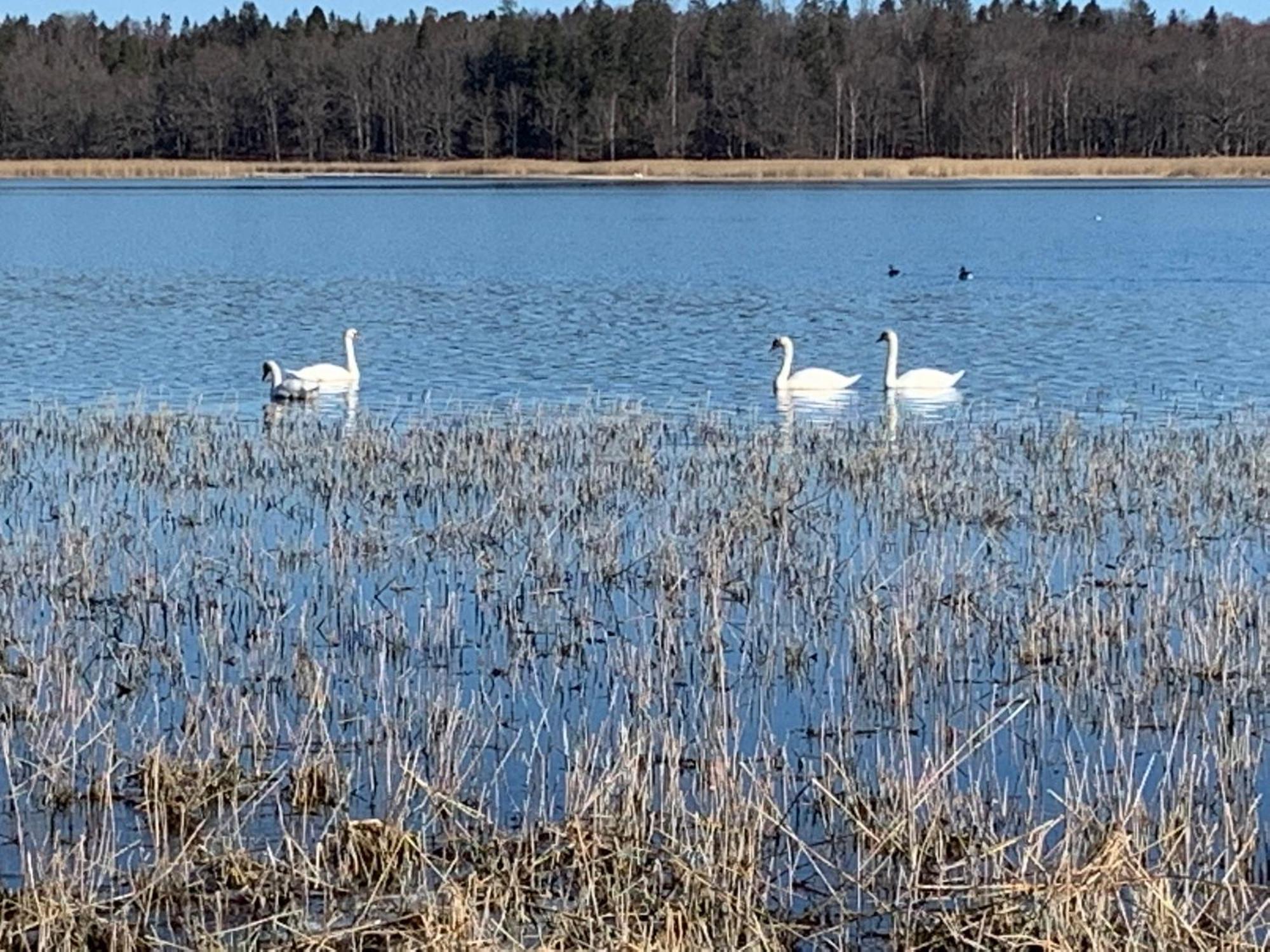 Karlshamn 1 Sankt Anna Soederkoeping Villa Dış mekan fotoğraf