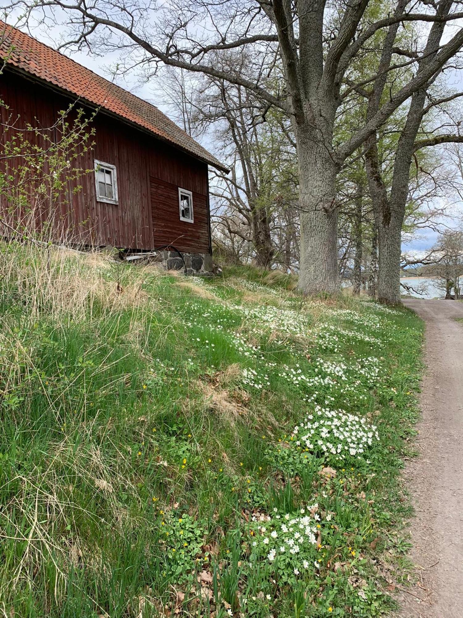 Karlshamn 1 Sankt Anna Soederkoeping Villa Dış mekan fotoğraf