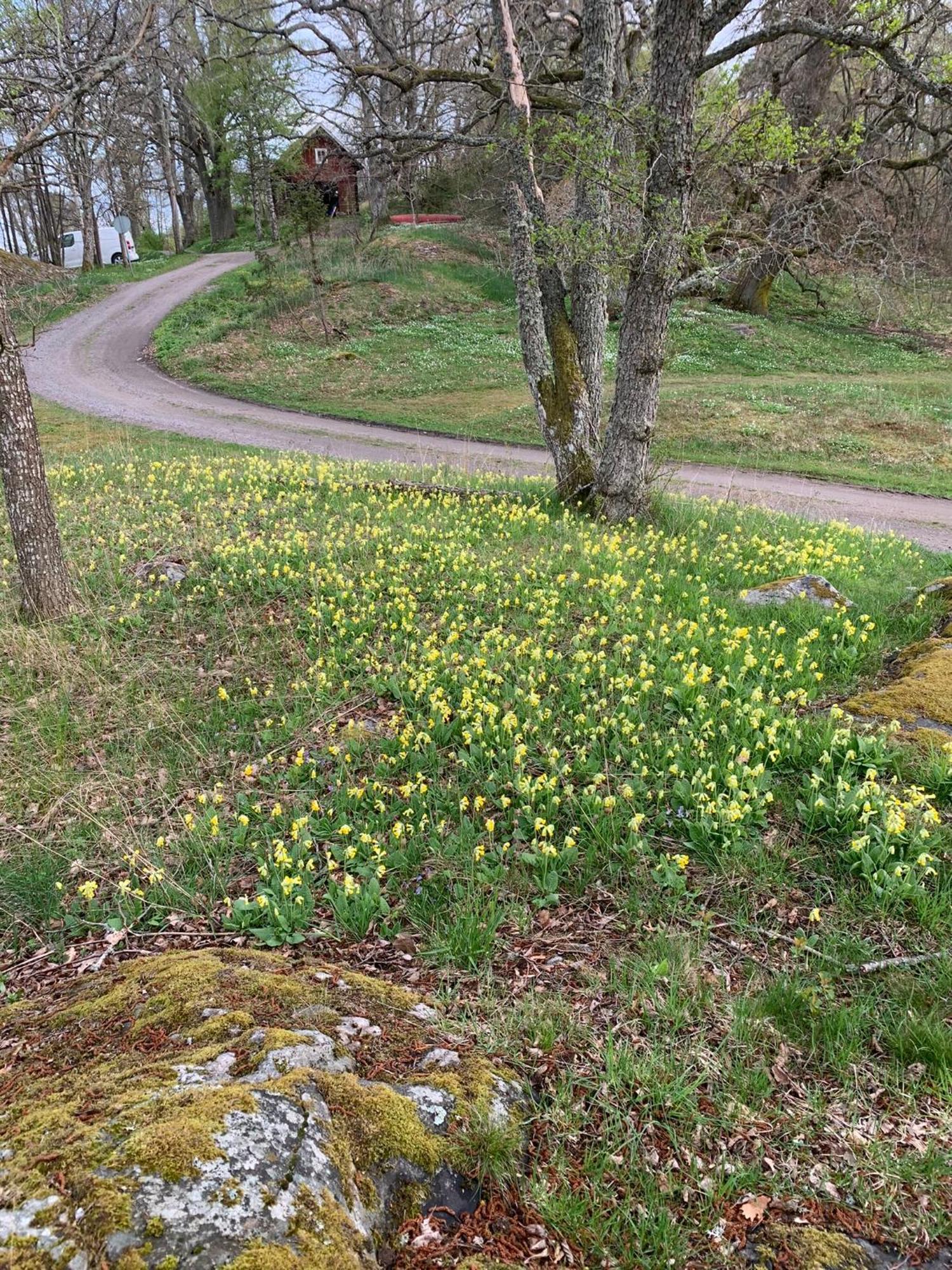 Karlshamn 1 Sankt Anna Soederkoeping Villa Dış mekan fotoğraf