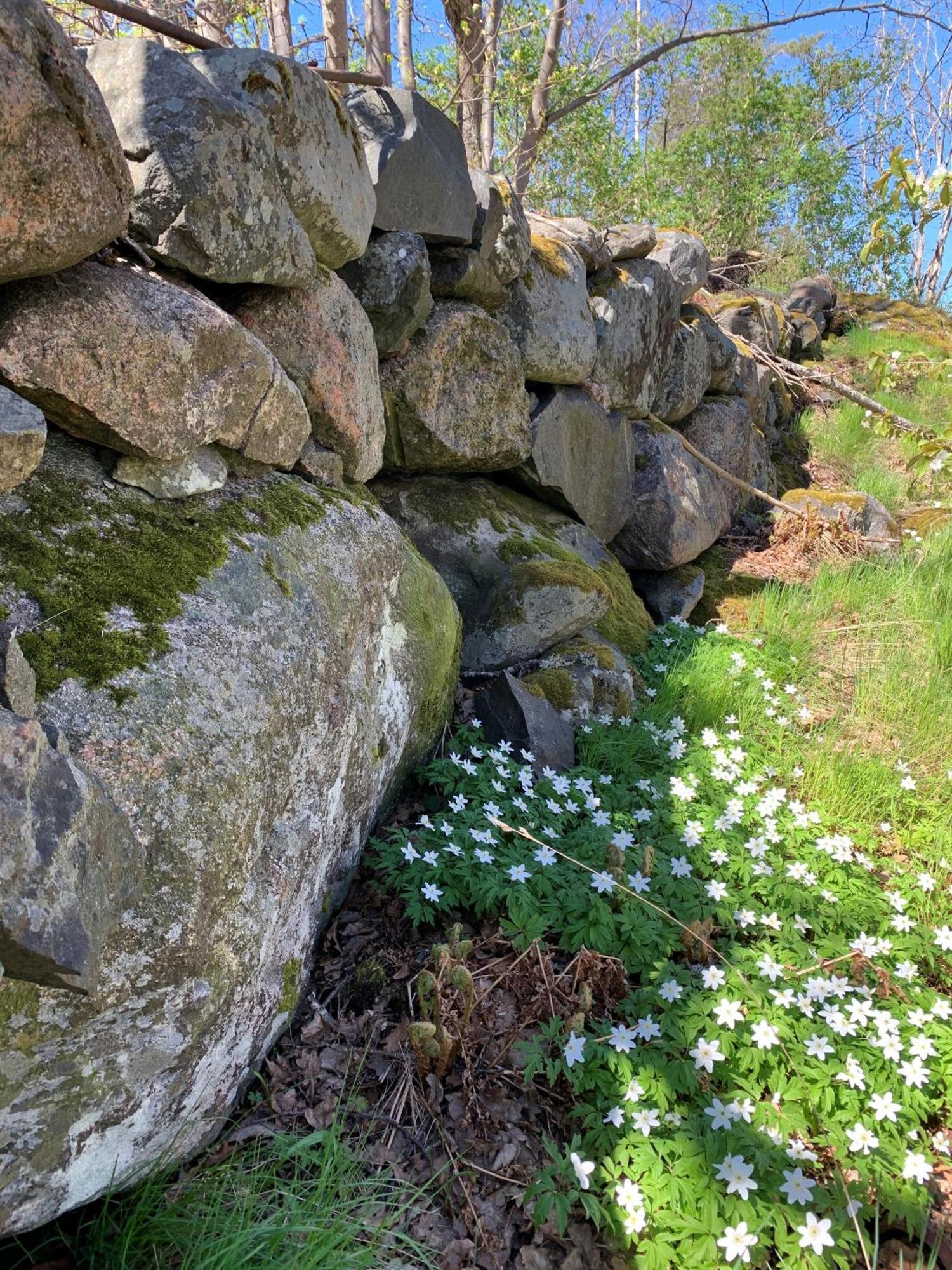 Karlshamn 1 Sankt Anna Soederkoeping Villa Dış mekan fotoğraf